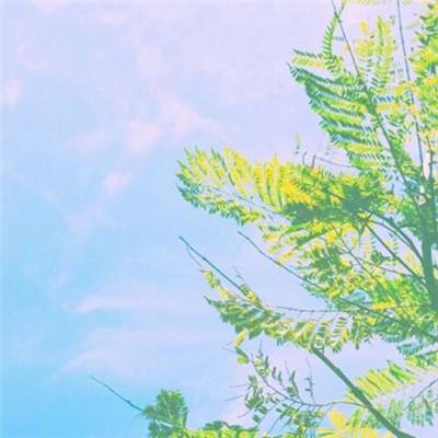 名将志果盘版下载